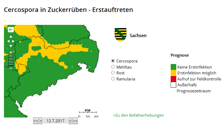 Cercospora in Zuckerrüben - Erstauftreten