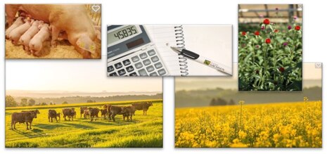 Collage aus Bildern für Landwirtschaft, Gartenbau und Betriebswirtschaft.