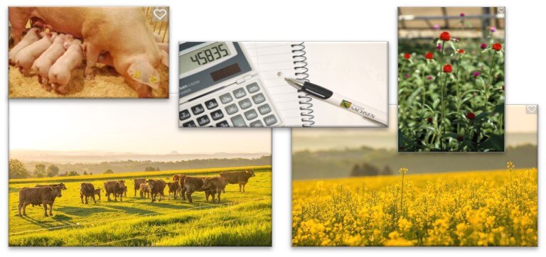 Collage mit Bildern aus Landwirtschaft, Gartenbau und Betriebswirtschaft.