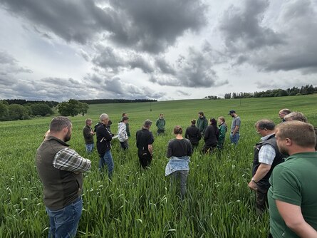 Landwirte in einem Weizenfeld
