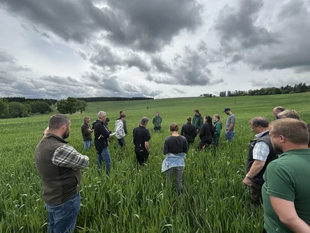 Landwirte in einem Weizenfeld