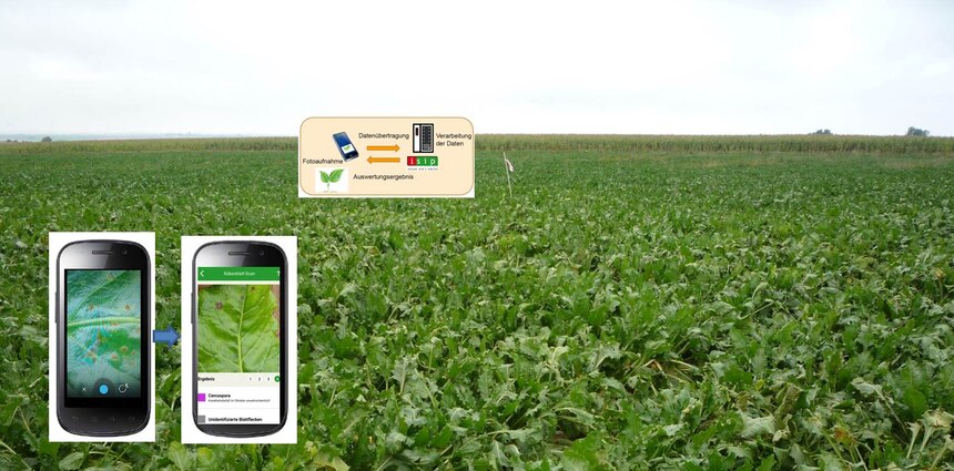 Digitaler Pflanzenschutz Digitaler Pflanzenschutz