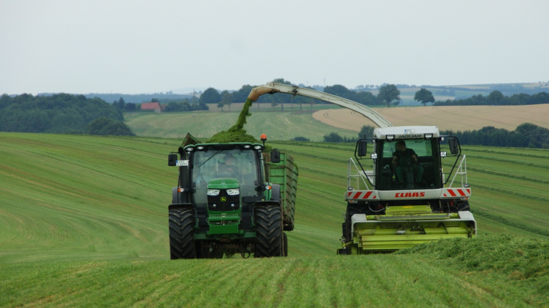 Futterbergung mit Häcksler