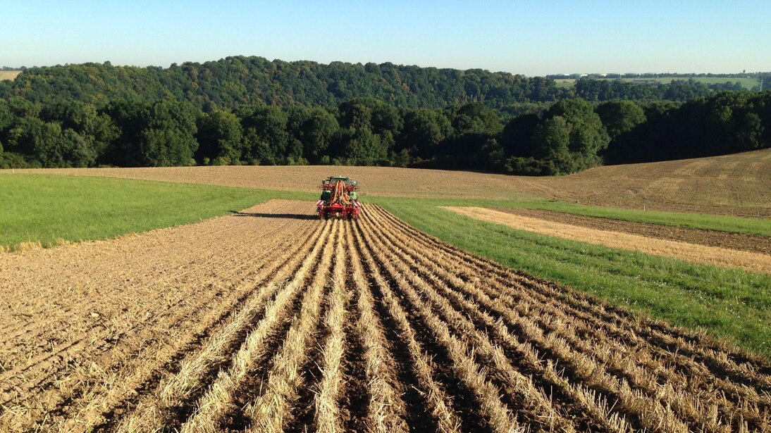 Strip-Till-Verfahren ...