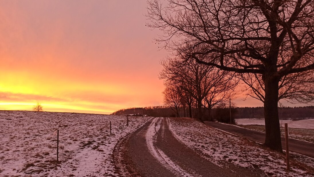 Winterstimmung auf der Versuchsfläche in Christgrün