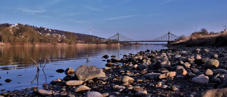 Elbe in Dresden 