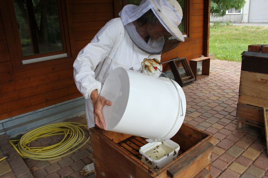 Zucker für das Bienenvolk