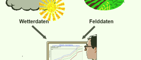 Zeichnung von einem Menschen vor einem Computer