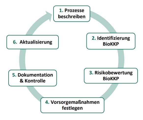 Darstellung zur Erstellung eines Vorsorgekonzeptes