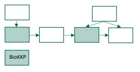 Schema