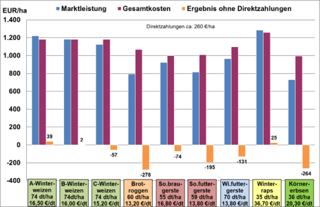 grafische Darstellung von Fachinformationen zu Marktleistung und Gesamtkosten 