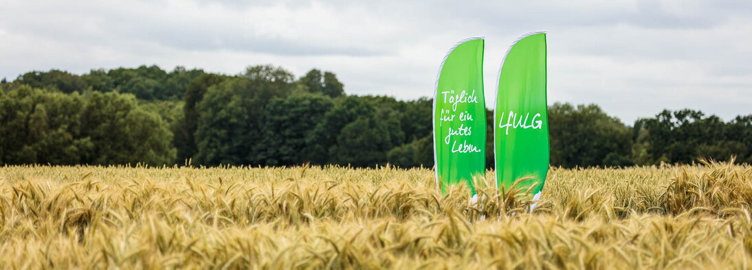 Beachflags in Versuchsfeld