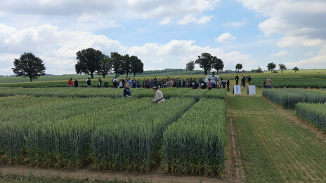 Feldtag_Nossen_21_06_2022