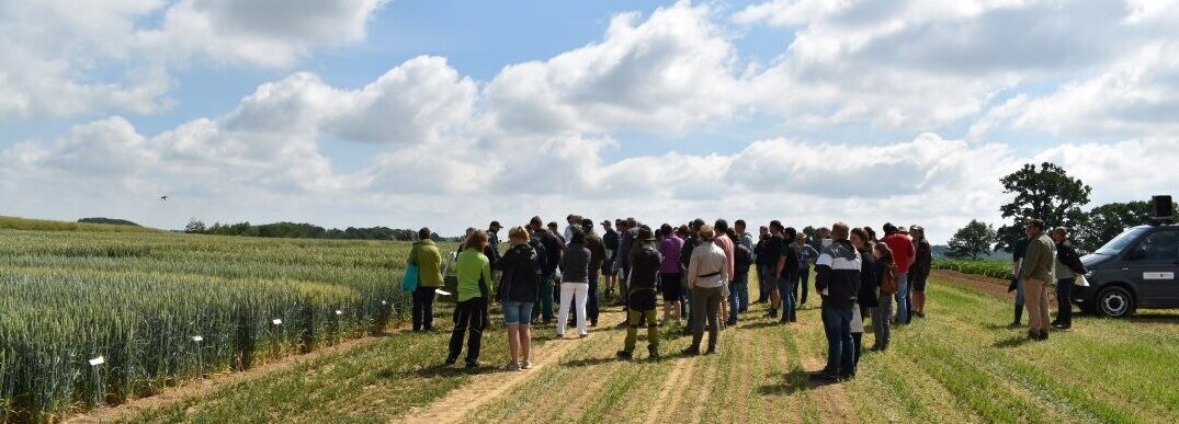 Menschgruppe auf Feld