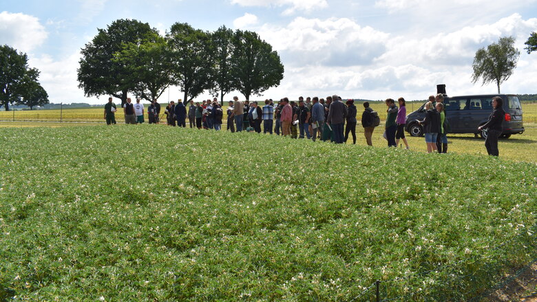 Personengruppe auf Versuchsfeld, Sonnenschein