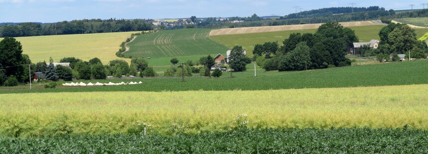Fruchtfolge in Sachsen