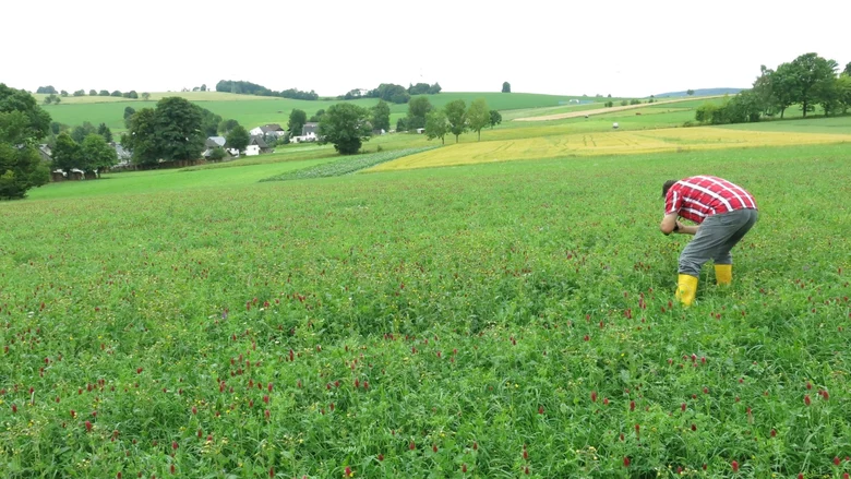 ein Mann fotografiert in einem Ackerfutterfeld den Bestand