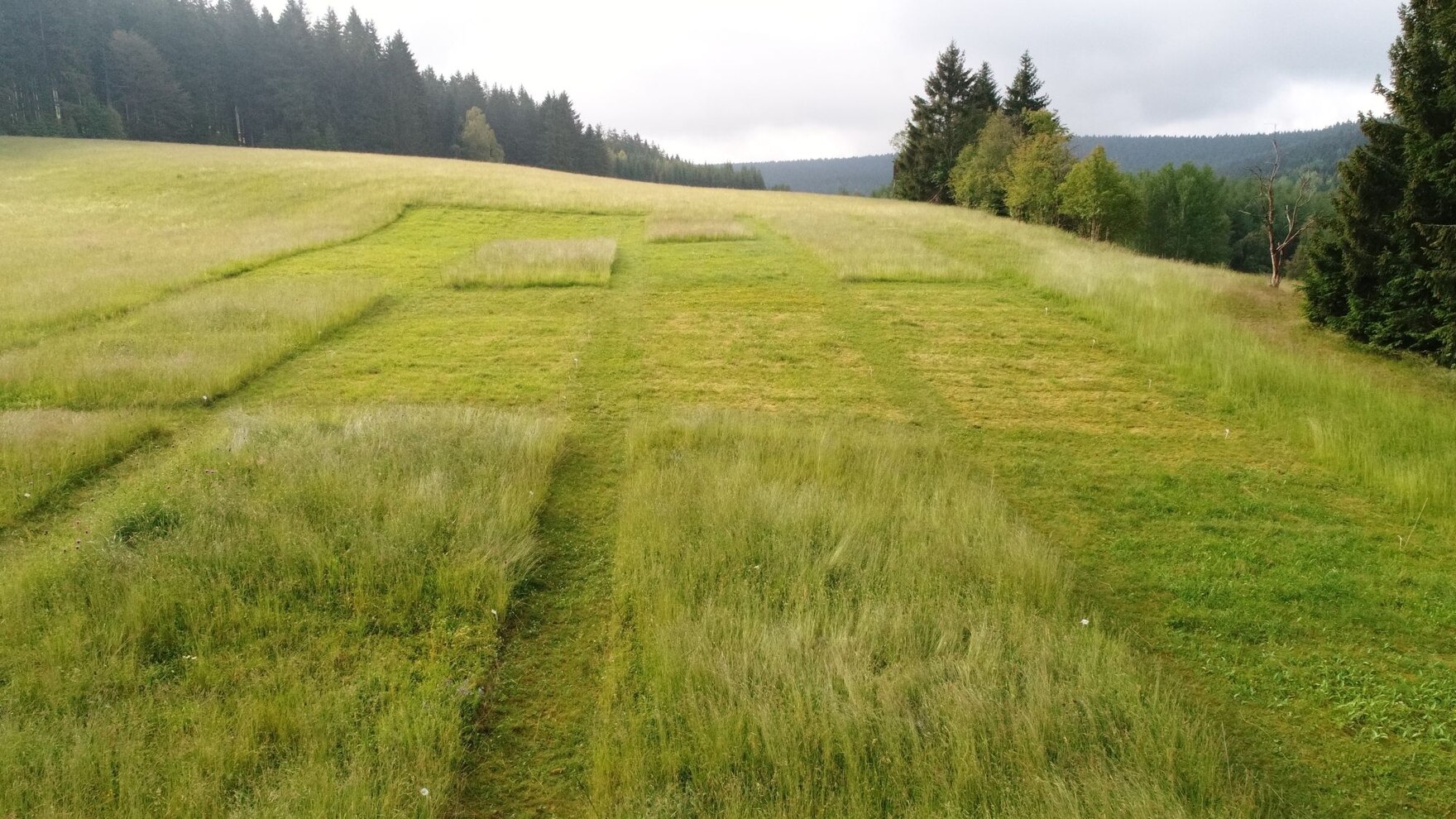 Exaktversuch in Breitenbrunn/Erzgebirge