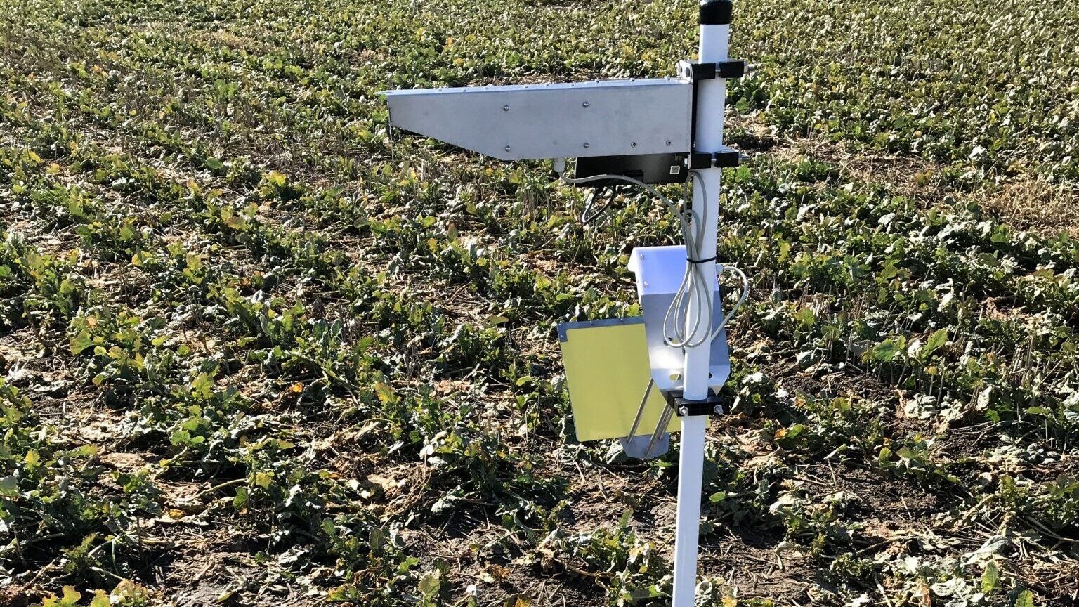 Digitale Gelbschale mit Kamerasystem auf dem Feld,