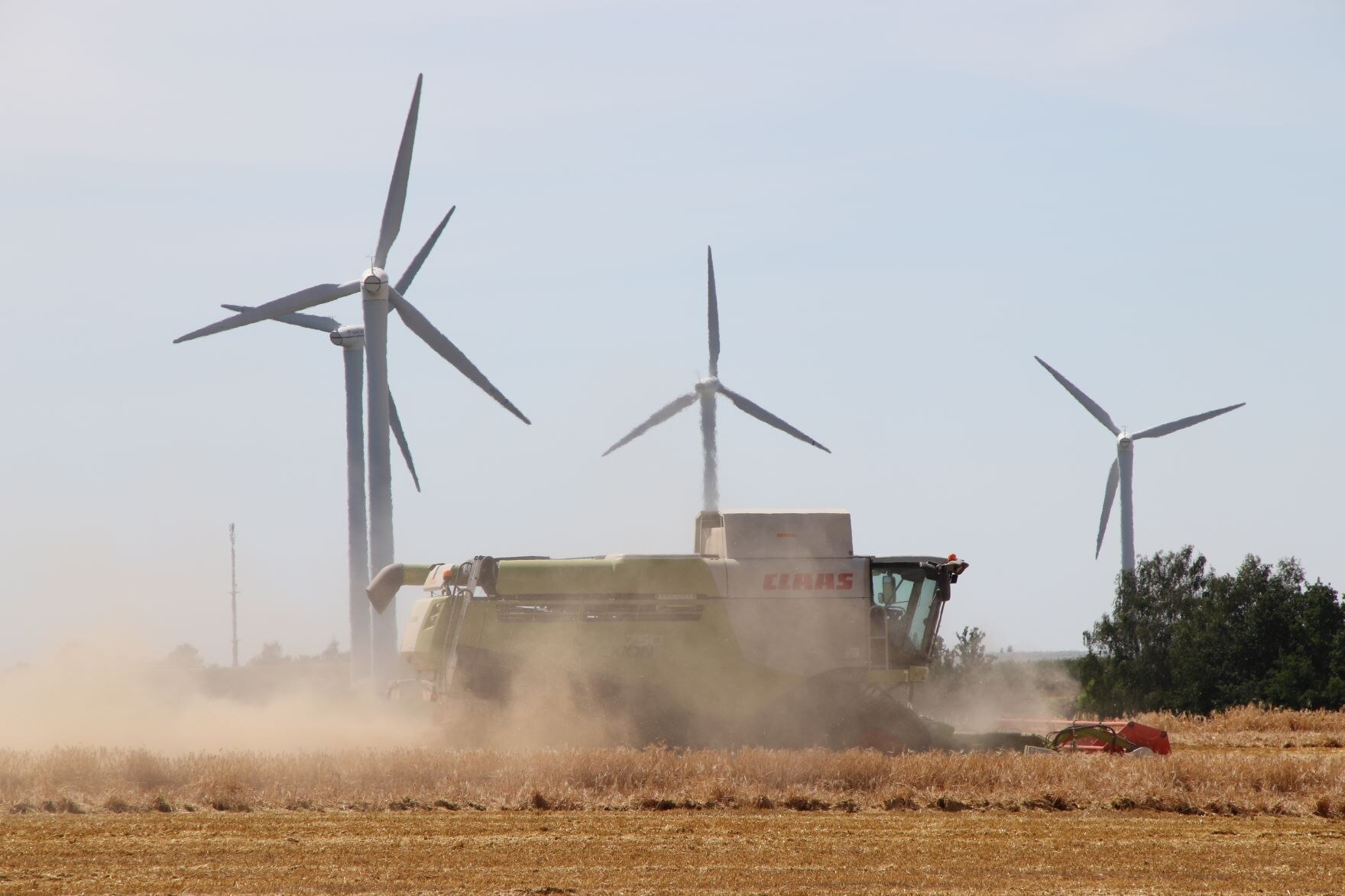 Mähdrescher bei der Getreideernte. Windräder im Hintergrund.