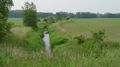 Gewaesserschutz_TeaserPB_300x169 Gewaesserschutz_TeaserPB_300x169