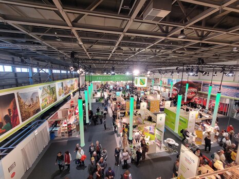 Messe und Export