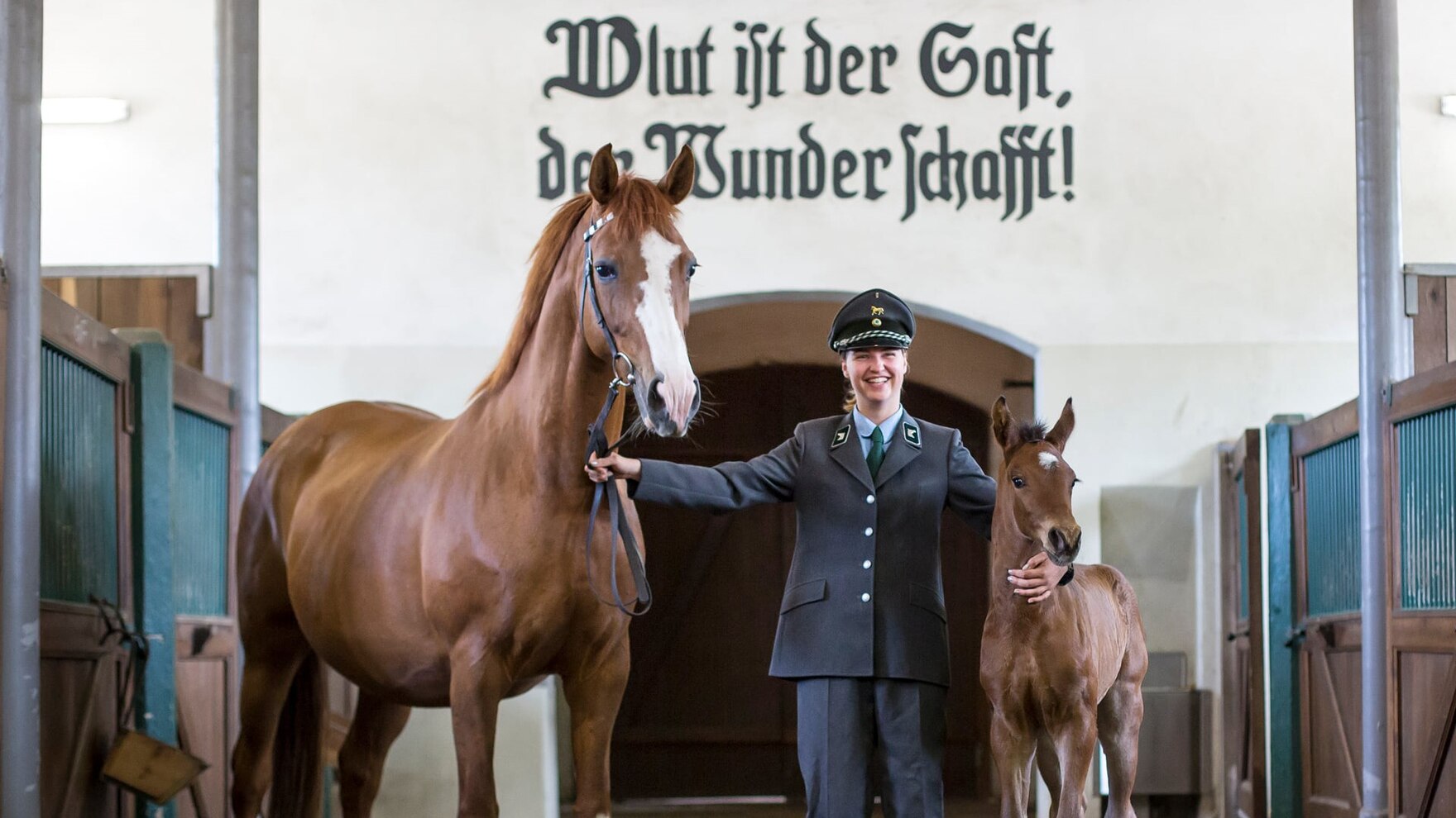 Der Ausspruch von Graf Lehndorff „Blut ist der Saft, der Wunder schafft!“ ziert den Durchgang im Graditzer Stutenstall.