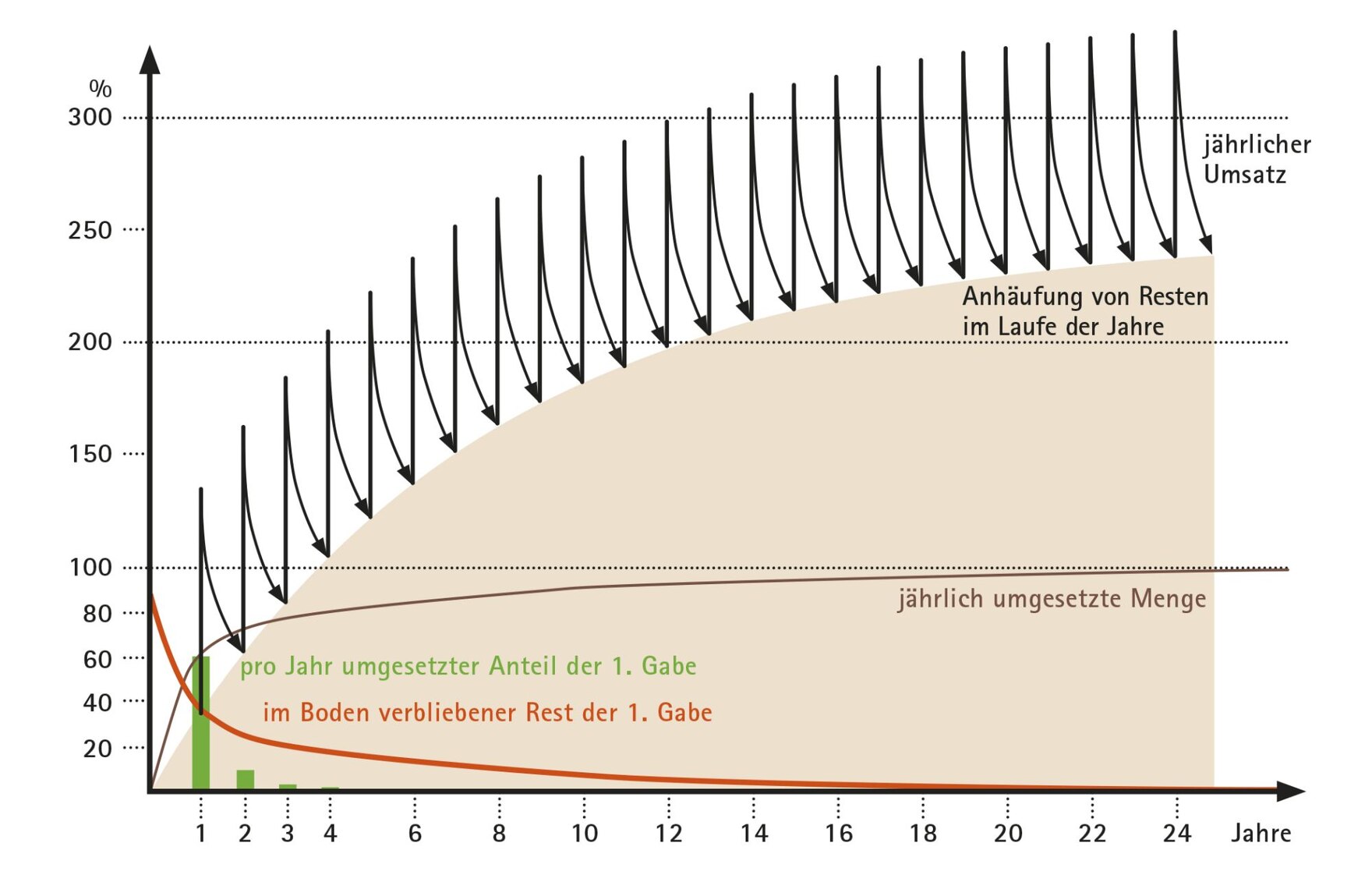 Abb. 1: Anhäufung, Abbau und Umsatz nach jährlicher Zufuhr einer gleichbleibenden Menge an organischer Substanz im Boden: Abbauverhalten der ersten Gabe (rote Kurve); Anreicherung bei jährlicher Zufuhr (brauner Bereich) (nach SAUERBECK, 1985, verändert)