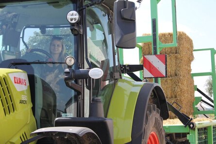 Abfahren Weizenstroh