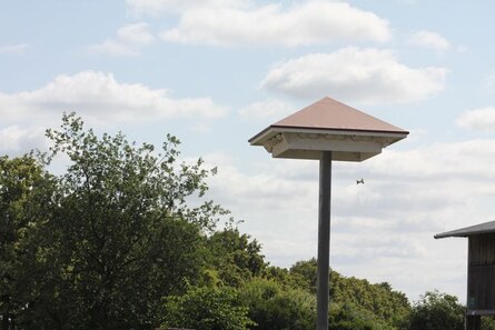 Schwalbenturm in der Tierhaltungsanlage