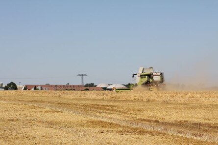 Mähdrescher erntet Wintergerste