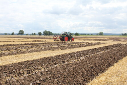 Traktor mit Pflug auf dem Feld