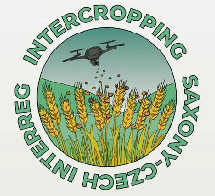 Projektlogo Zwischenfruchanbau Interreg