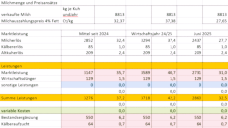 Kalkulationstabelle unscharf