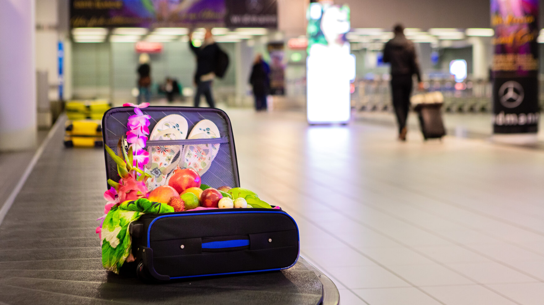 Koffer aus Kofferband mit Früchten gefüllt