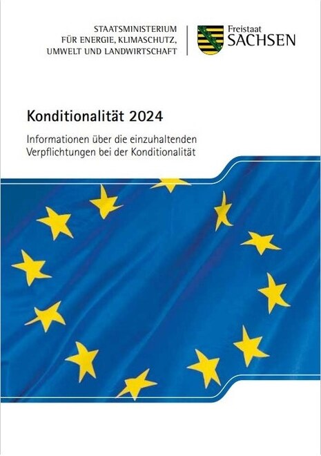 Konditionalität 2024