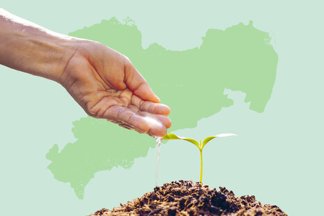 Teaserbox Praxislabor Klima Kompetenzzentrum Ökologischer Landbau