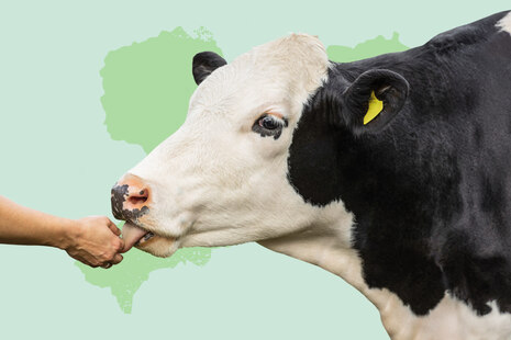 Teaserbox Praxislabor Tierhaltung Kompetenzzentrum Ökologischer Landbau
