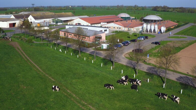 Luftbild mit Stallgebäuden und Acker/Wiese des LVG Köllitsch