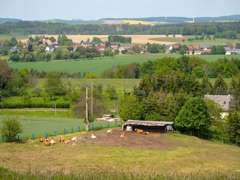 Foto einer ländlichen Gegend, im Vordergrund eine Weide mit Kühen, dahinter Ackerflächen und Häuser