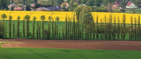 Landwirtschaft allgemein