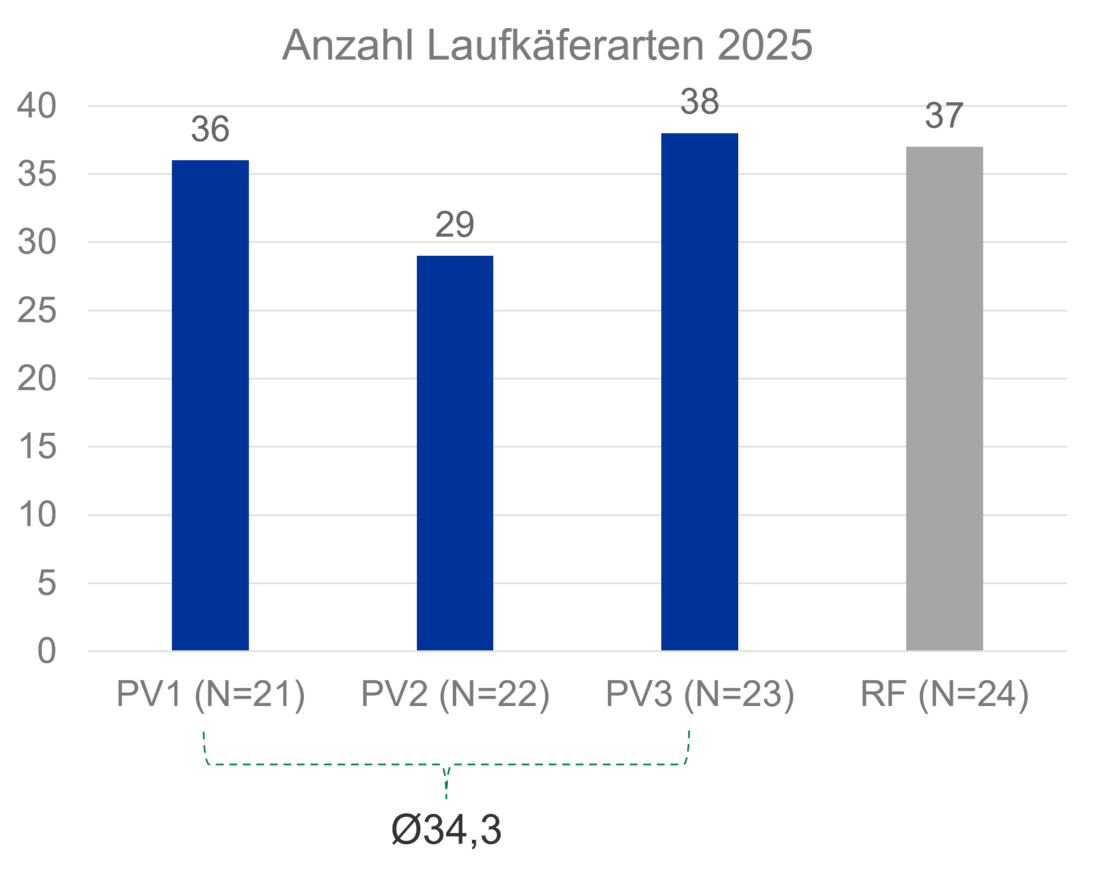Anzahl an Laufkäferarten an den verschiedenen Messpunkten in der PV-Anlage und der Referenzfläche