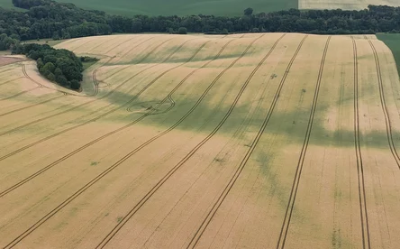 Teilflächenunterschiede im Acker