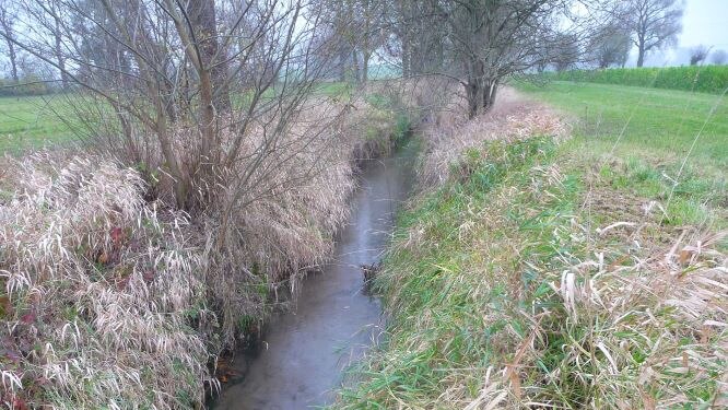 Bachlauf mit grasigem Ufer, Sträuchern und Gewässerrandstreifen in Agrarlandschaft