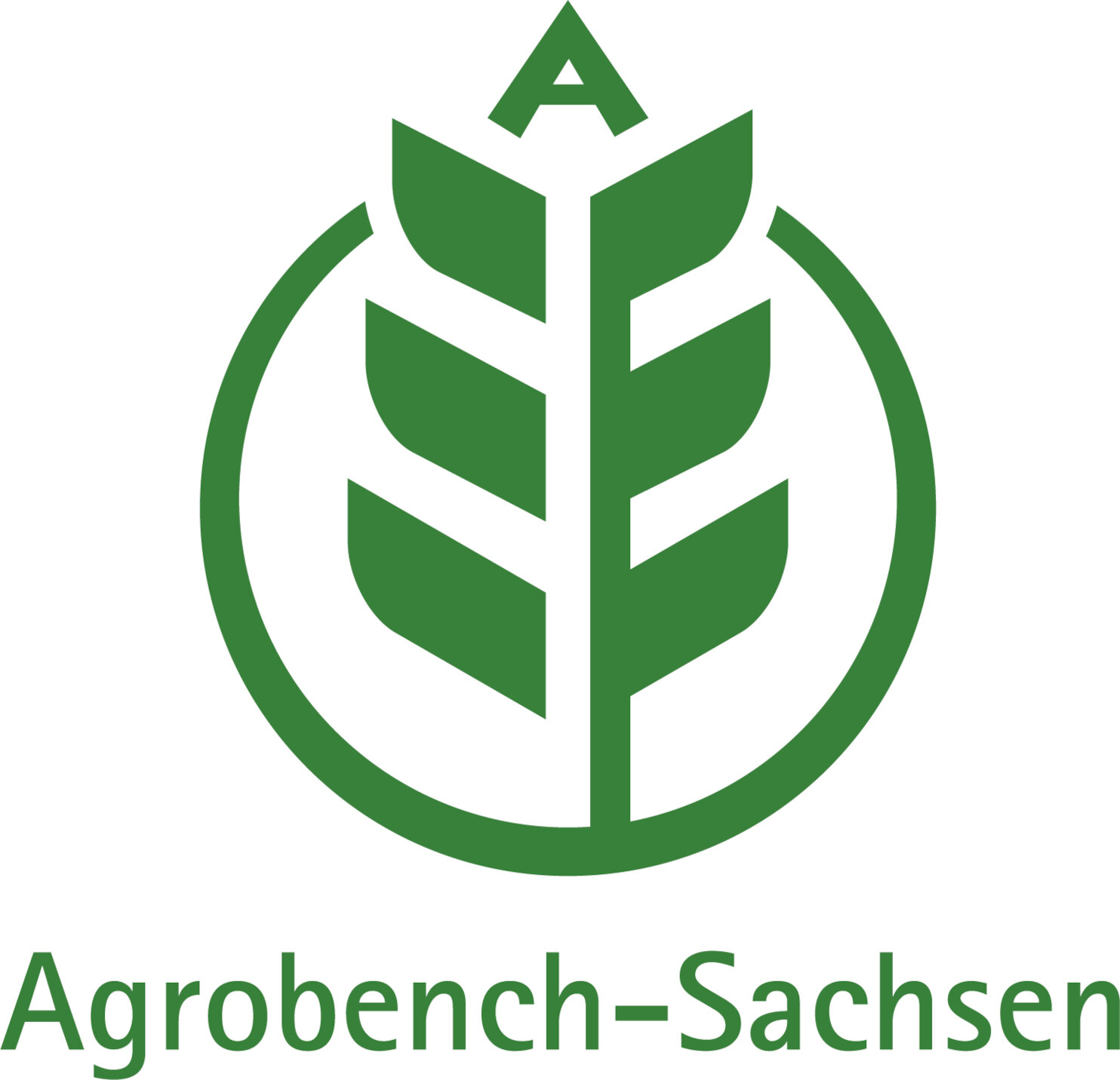 Das Logo für Agrobench-Sachsen besteht aus einer Getreideähre, die in der Spitze den Buchstaben A enthält und von einem Kreis umgeben ist. Darunter befindet sich der Schriftzug Agrobench-Sachsen. Die Farbe des Logos ist grün auf weißem Grund.