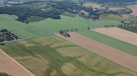Luftbild von Feldern