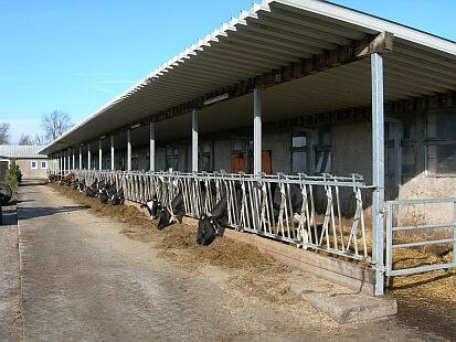 Außenfuttertisch am Milchviehstall (Quelle: Sächsisches Landesamt für Umwelt, Landwirtschaft und Geologie)