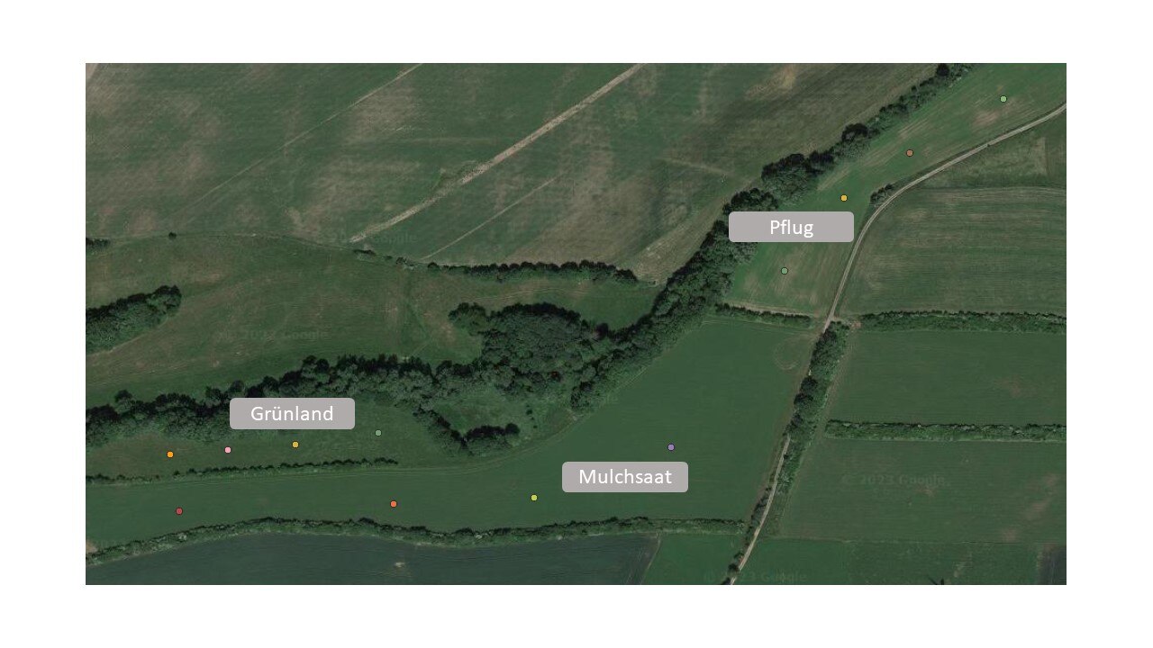 Regenwurmonitoringflächen Kai Pönitz