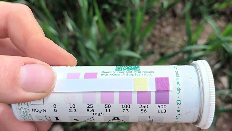 Mit einem Teststäbchen und einer Konzentrationsskala wird die Stickstoffversorgung des untersuchten Weizenbestandes gemessen.