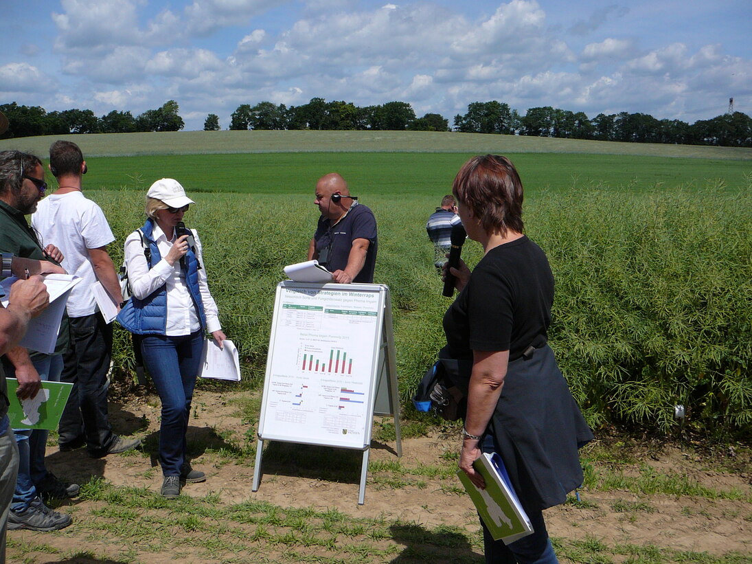 Feldtag in Pommritz - Landwirtschaft - sachsen.de